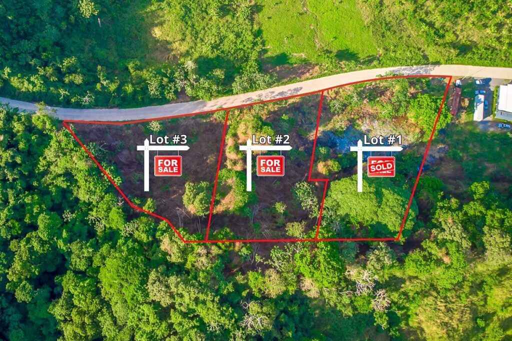 0.96-Acre Dixon Cove Parcel