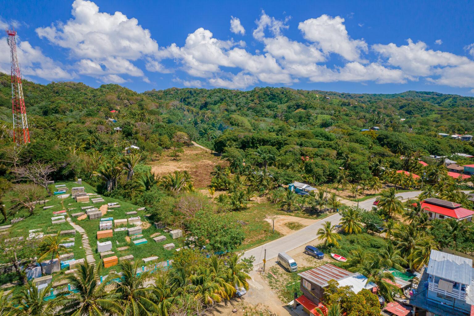 3.3 Acres Flower's Bay Roatan, Caribbean Development Property, Roatan Land for Sale, Roatan Acreage, Kirby Warren Roatan Real Estate Listings, Roatan Realty Solutions, Roatan Luxury Properties